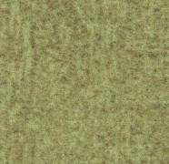 s482003t382003 citrus